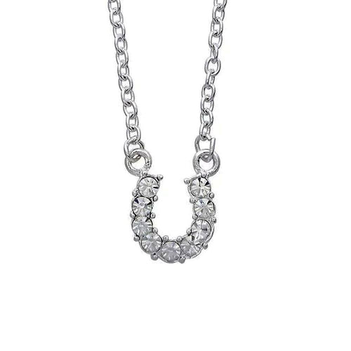 Clear Rhinestone Horseshoe Necklace in Pony Head Gift Box
