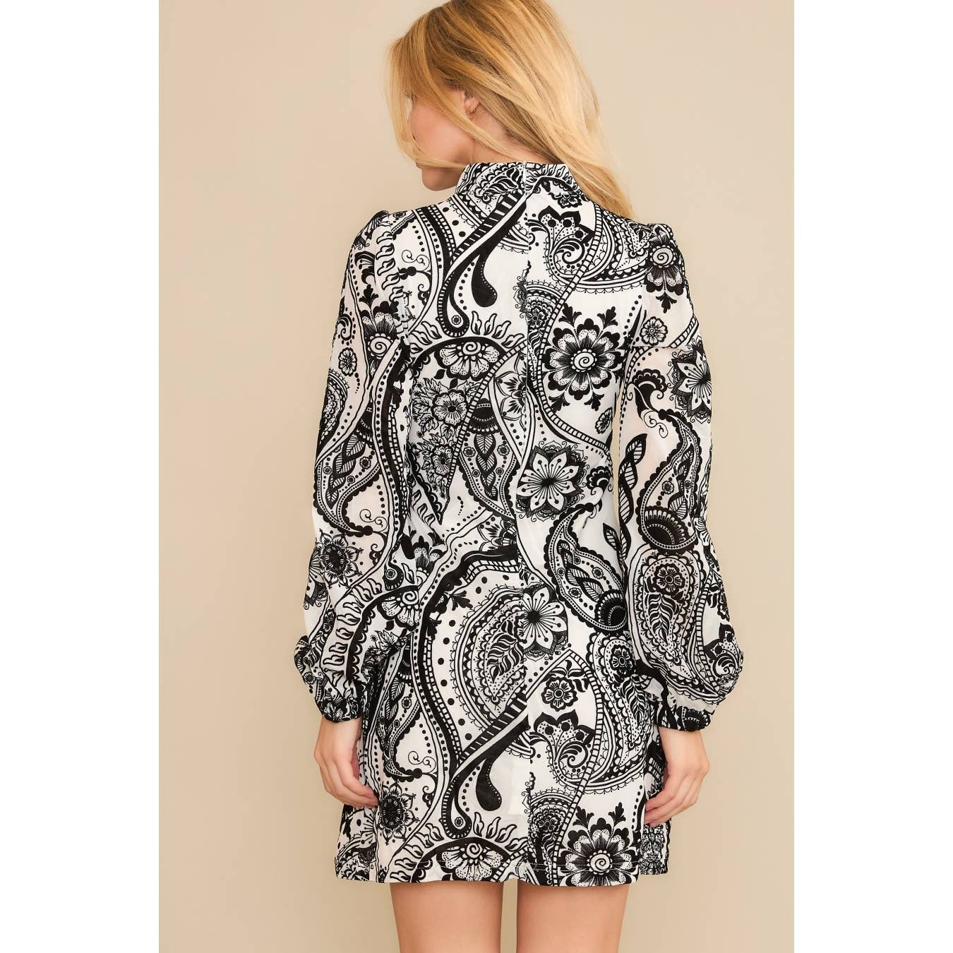 SOFT VELVET FLOCKING LONG SLEEVE MINI DRESS